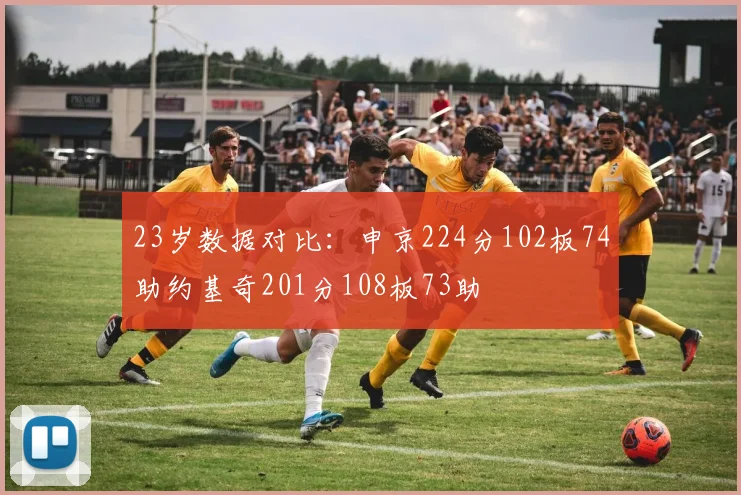 23岁数据对比：申京224分102板74助约基奇201分108板73助