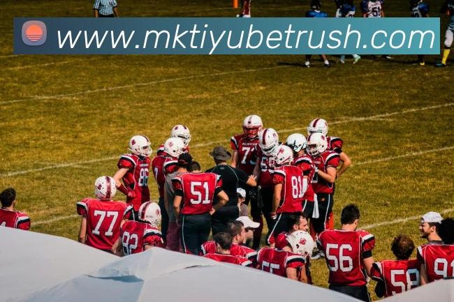 MK体育APP 封面图